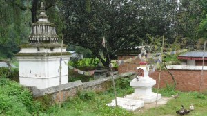 Sur le chemin de Namo Buddha